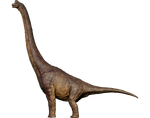 Brachiosaurus