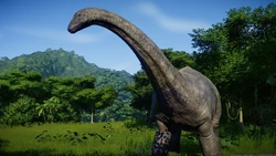 ApatoSpliffi.jpg (550 KB)