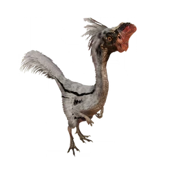 Oviraptor database image from Evolution 2.png (245 KB) JWE 2