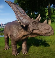 Chasmosaurus Disponible dans le Centre d'expedition