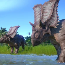 Chasmosaurus Jurassic World Evolution Wiki Fandom Now, i agree to receive electronic communications from ludia inc. chasmosaurus jurassic world evolution