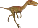 Troodon