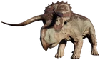 Nasutoceratops JWE2 Profile