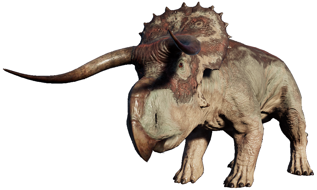 nasutuceratops