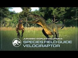 Species Field Guide - Velociraptor - Jurassic World Evolution 2