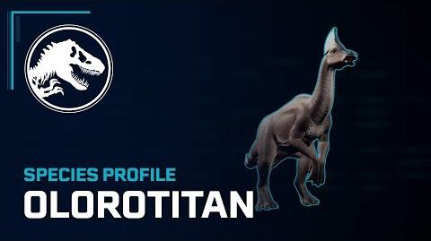 Species Profile - Olorotitan
