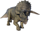 Triceratops