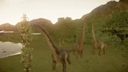 Brachiosaurus eating from a tall paleofeeder