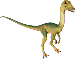 Tiranossauro, DinoDB