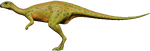 Dryosaurus