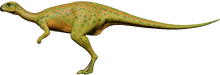 Dryosaurus