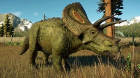 Torosaurus JWE2