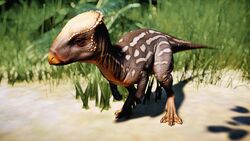 648350 screenshots 20190917194007 1.jpg (3.58 MB)