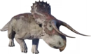 Nasutoceratops