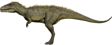 Carcharodontosaurus