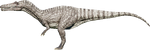 Suchomimus