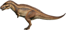 Acrocanthosaurus