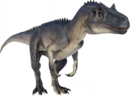 Allosaurus