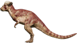 Pachycephalosaurus