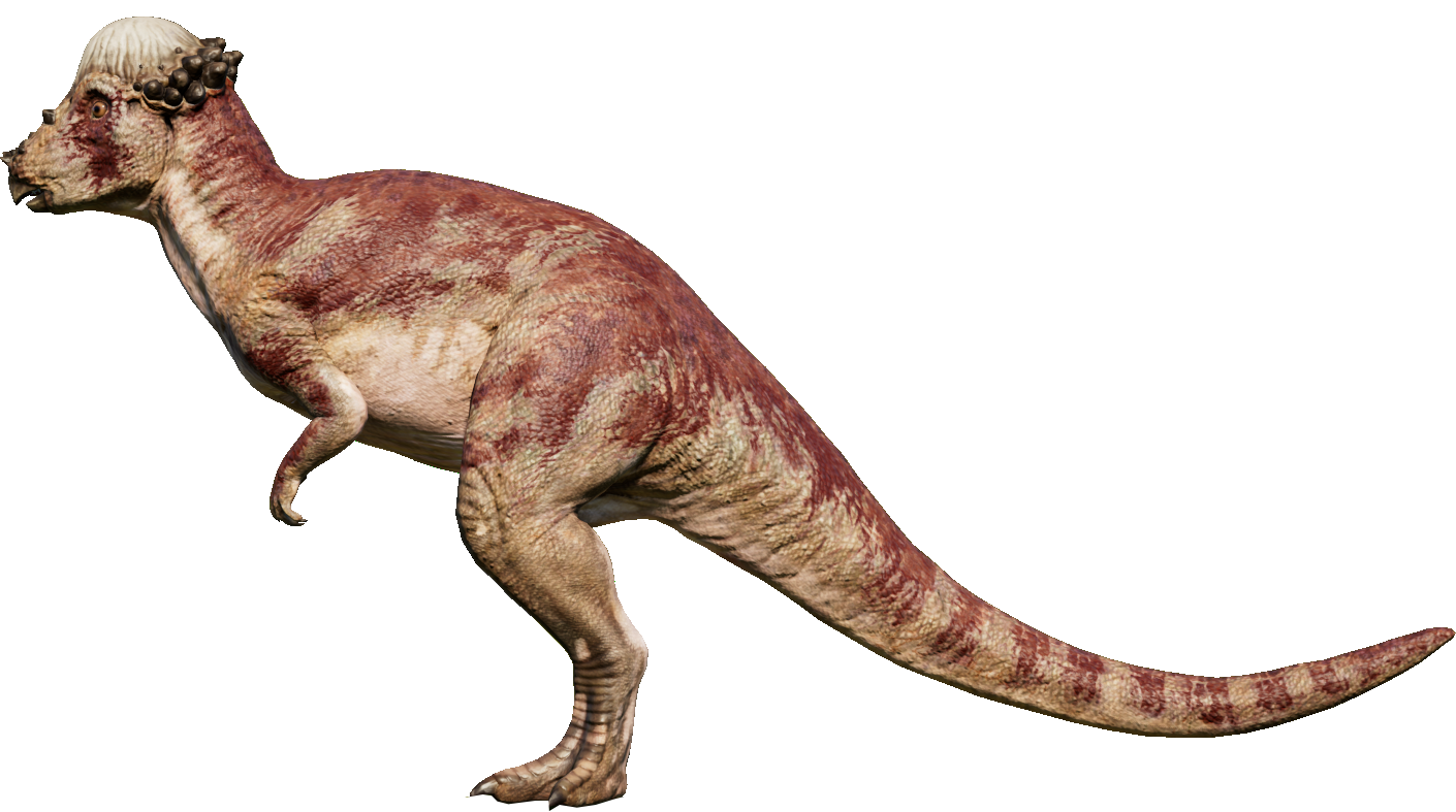 Pachycephalosaurus Jurassic World Evolution Wiki Fandom