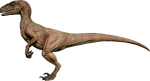 Velociraptor