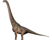 Dreadnoughtus