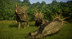 StyraWIM2.jpg (832 KB)