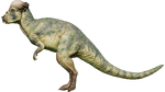 Pachycephalosaurus