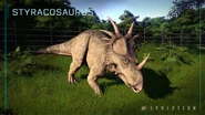 Styracosaurus