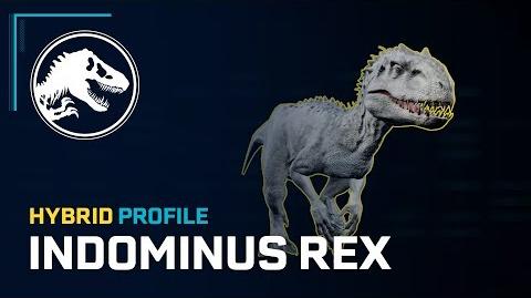 Hybrid Profile - Indominus Rex