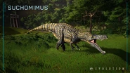 Suchomimus