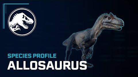 Species Profile - Allosaurus