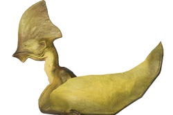 Tapejara Jurassic World Evolution Wiki Fandom