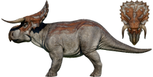 Nasutoceratops