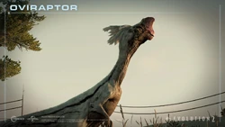 EyJidWNrZXQiOiJmcm9udGllci1jbXMiLCJrZXkiOiIyMDIyLTEyL2p3ZTJfZGxjNV9zY3JlZW5zaG90c18xOTIweDEwODBfb3ZpcmFwXzFfd20uanBnIiwiZWRpdHMiOnsicmVzaXplIjp7IndpZHRoIjoxOTIwfX19.jpg (188 KB)