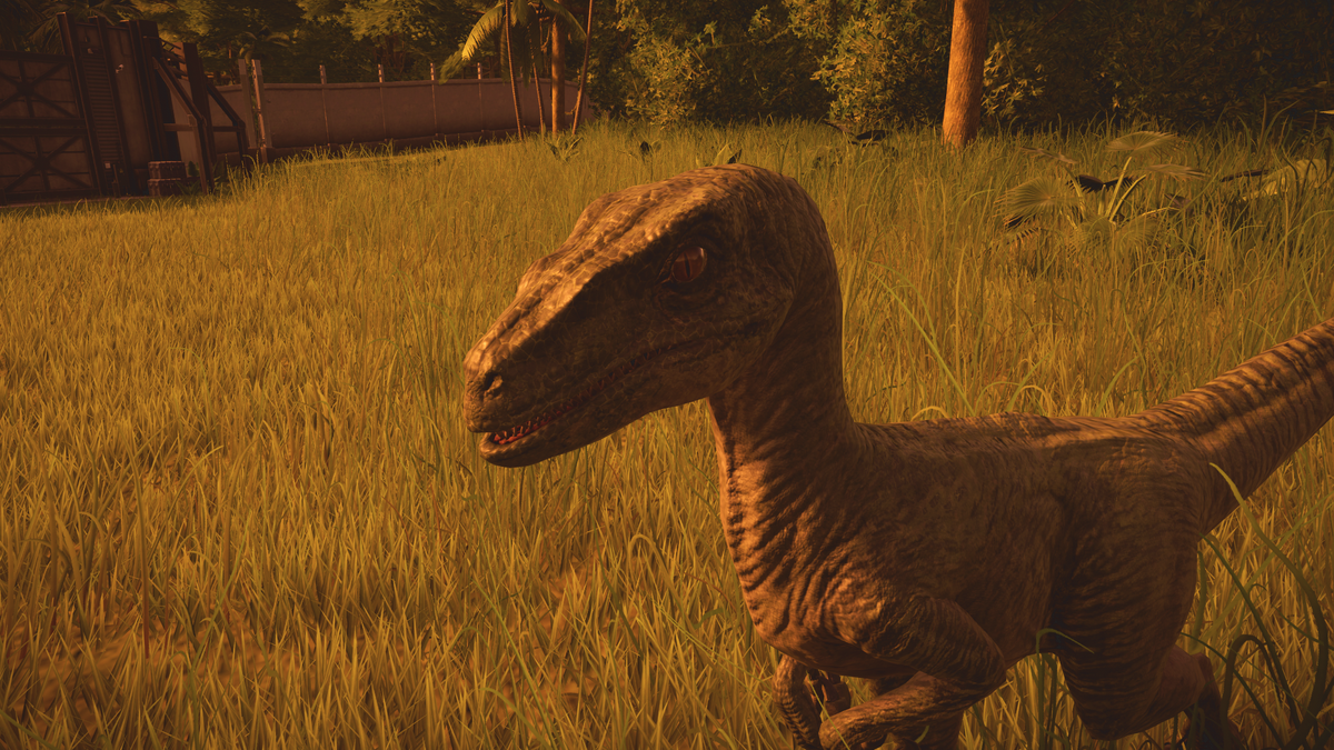 User Blogpokemonzizzle8383isla Nublar Raptor Site Jurassic World Evolution Wiki Fandom