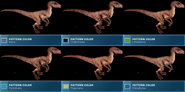 Velociraptor Patterns