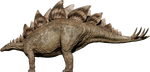 Stegosaurus