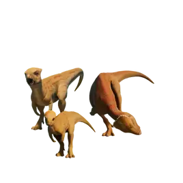 Database (Evolution 3)