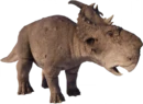 Pachyrhinosaurus