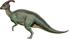 Parasaurolophus (D)