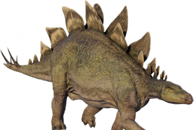 Triceratops, DinoDB