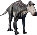 Maiasaura JWE2 Profile