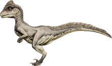 Deinonychus