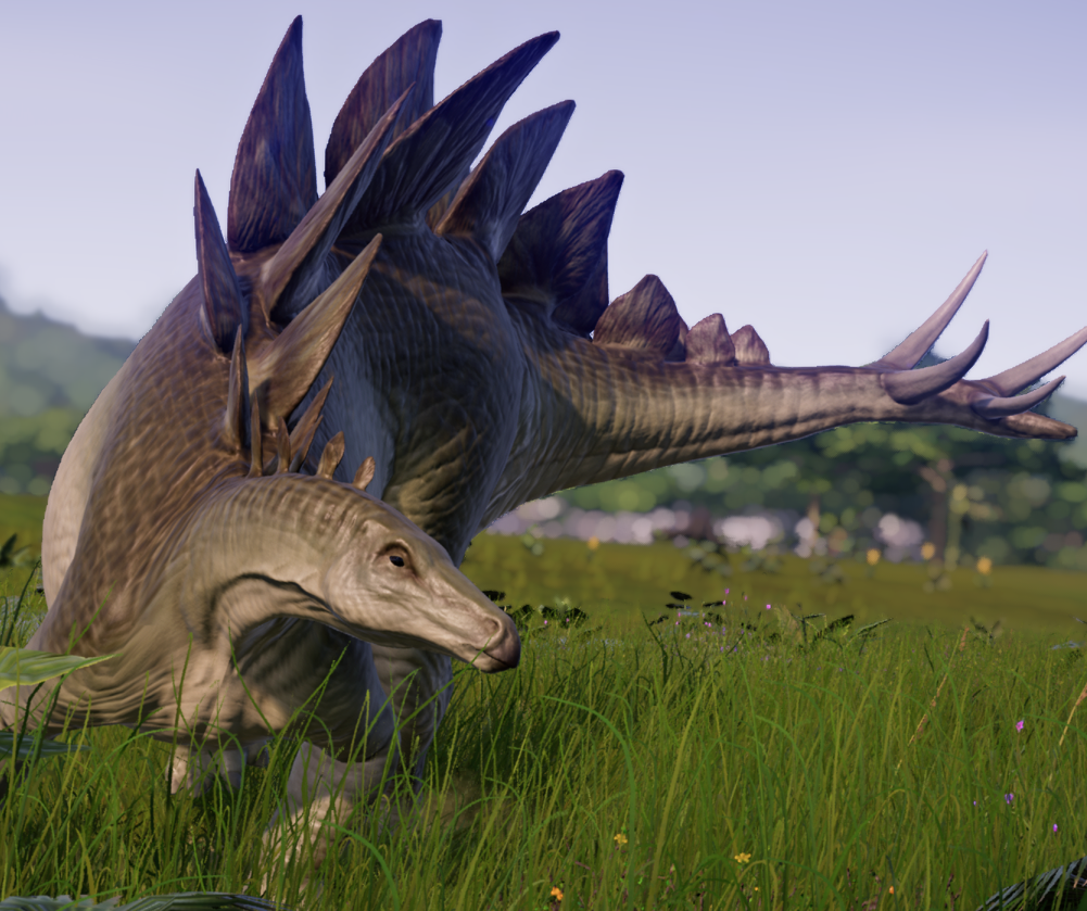 different types of stegosaurus