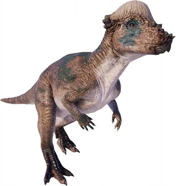 Pachycephalosaurus jurassic park Clearance