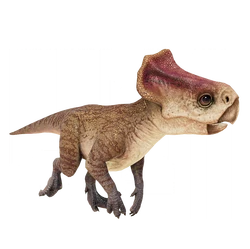 Microceratus database image from Evolution 2.png (344 KB) JWE 2