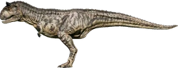 CarnoSavannah