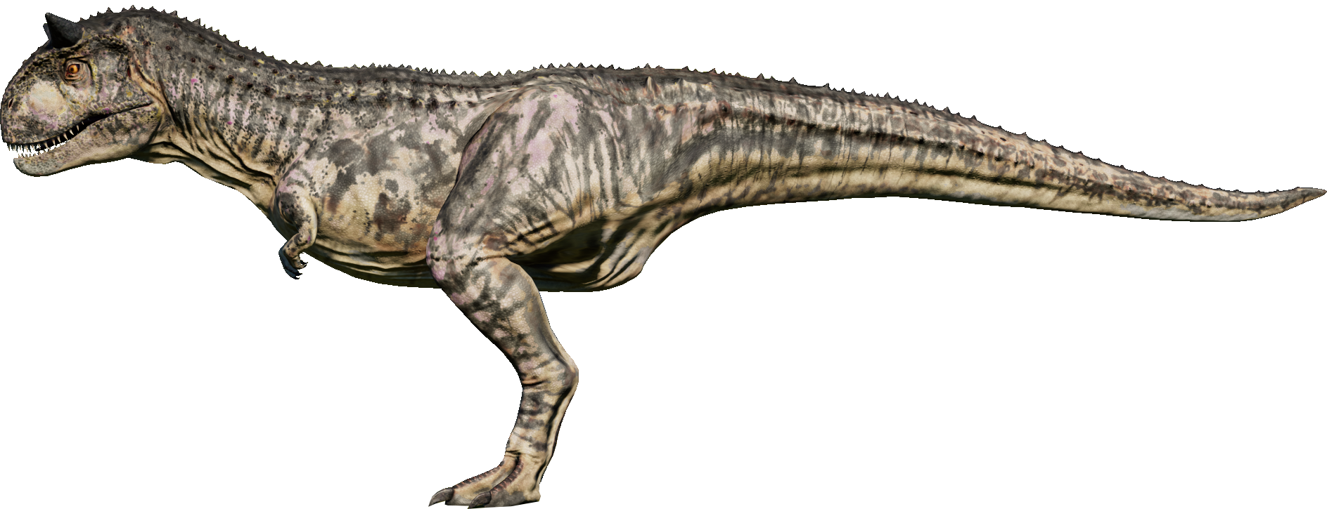 Carnotaurus, Jurassic World Evolution Wiki
