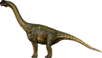 Camarasaurus